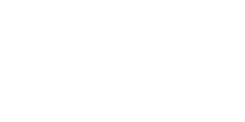 Alfred landecker stiftung logo weiss quer v3